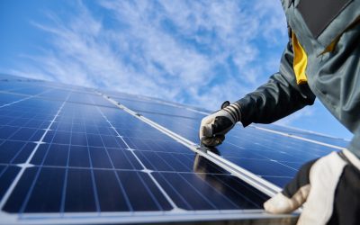 Why Your Business Should Switch To Solar Power