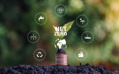 Making Net Zero achievable: Eco Fix UK’s easy guide to sustainable success